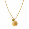 Golden Seashell Charm Pendant Necklace